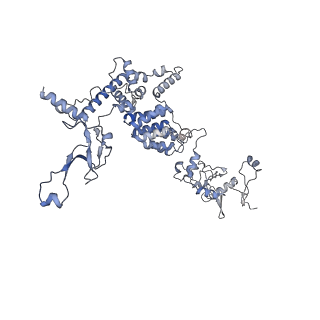 13660_7pua_DF_v1-0
Middle assembly intermediate of the Trypanosoma brucei mitoribosomal small subunit