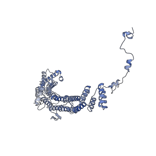 13660_7pua_DG_v1-0
Middle assembly intermediate of the Trypanosoma brucei mitoribosomal small subunit