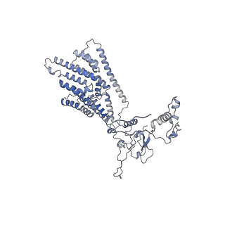 13660_7pua_DH_v1-0
Middle assembly intermediate of the Trypanosoma brucei mitoribosomal small subunit