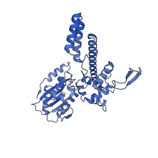 13660_7pua_DI_v1-0
Middle assembly intermediate of the Trypanosoma brucei mitoribosomal small subunit
