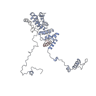 13660_7pua_DJ_v1-0
Middle assembly intermediate of the Trypanosoma brucei mitoribosomal small subunit