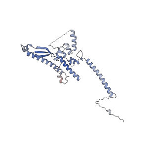 13660_7pua_DK_v1-0
Middle assembly intermediate of the Trypanosoma brucei mitoribosomal small subunit