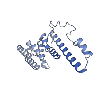 13660_7pua_DO_v1-0
Middle assembly intermediate of the Trypanosoma brucei mitoribosomal small subunit