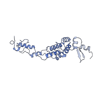 13660_7pua_DP_v1-0
Middle assembly intermediate of the Trypanosoma brucei mitoribosomal small subunit