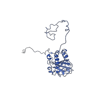13660_7pua_DR_v1-0
Middle assembly intermediate of the Trypanosoma brucei mitoribosomal small subunit