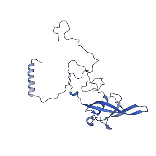 13660_7pua_DU_v1-0
Middle assembly intermediate of the Trypanosoma brucei mitoribosomal small subunit