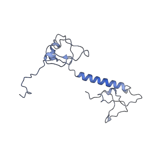 13660_7pua_DV_v1-0
Middle assembly intermediate of the Trypanosoma brucei mitoribosomal small subunit
