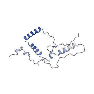 13660_7pua_DW_v1-0
Middle assembly intermediate of the Trypanosoma brucei mitoribosomal small subunit