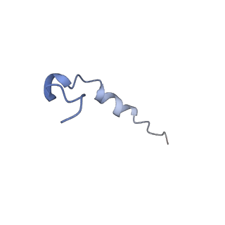 13660_7pua_DZ_v1-0
Middle assembly intermediate of the Trypanosoma brucei mitoribosomal small subunit