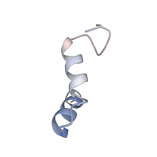 13660_7pua_Da_v1-0
Middle assembly intermediate of the Trypanosoma brucei mitoribosomal small subunit