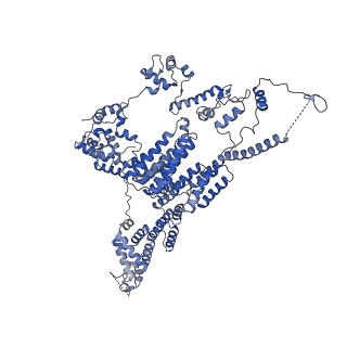 13660_7pua_F2_v1-0
Middle assembly intermediate of the Trypanosoma brucei mitoribosomal small subunit