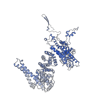 13660_7pua_F3_v1-0
Middle assembly intermediate of the Trypanosoma brucei mitoribosomal small subunit