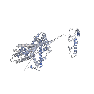 13660_7pua_F5_v1-0
Middle assembly intermediate of the Trypanosoma brucei mitoribosomal small subunit