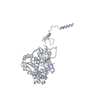13660_7pua_F6_v1-0
Middle assembly intermediate of the Trypanosoma brucei mitoribosomal small subunit