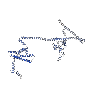 13660_7pua_F9_v1-0
Middle assembly intermediate of the Trypanosoma brucei mitoribosomal small subunit