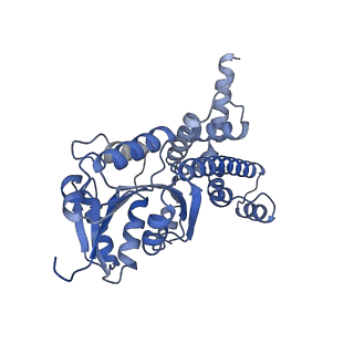 13660_7pua_FM_v1-0
Middle assembly intermediate of the Trypanosoma brucei mitoribosomal small subunit