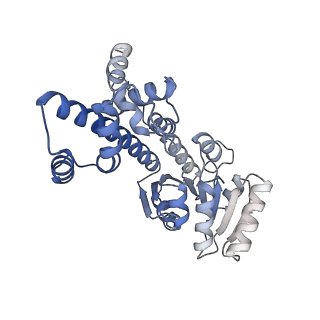 13660_7pua_FN_v1-0
Middle assembly intermediate of the Trypanosoma brucei mitoribosomal small subunit