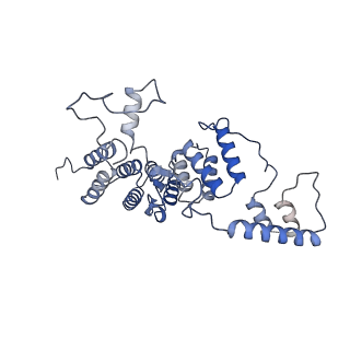 13660_7pua_FO_v1-0
Middle assembly intermediate of the Trypanosoma brucei mitoribosomal small subunit