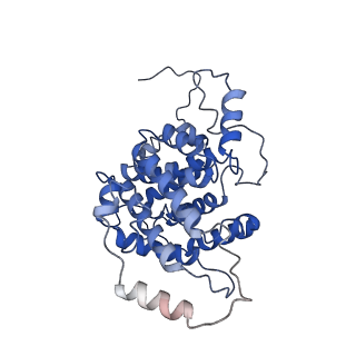 13660_7pua_FP_v1-0
Middle assembly intermediate of the Trypanosoma brucei mitoribosomal small subunit
