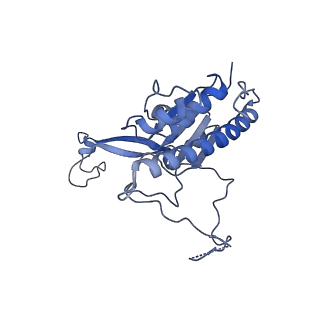 13660_7pua_FW_v1-0
Middle assembly intermediate of the Trypanosoma brucei mitoribosomal small subunit