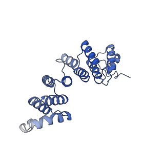 13660_7pua_FX_v1-0
Middle assembly intermediate of the Trypanosoma brucei mitoribosomal small subunit