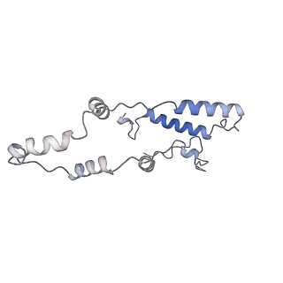 13660_7pua_FZ_v1-0
Middle assembly intermediate of the Trypanosoma brucei mitoribosomal small subunit