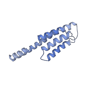 13660_7pua_Fb_v1-0
Middle assembly intermediate of the Trypanosoma brucei mitoribosomal small subunit