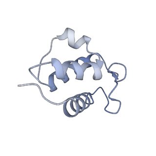 13660_7pua_Fc_v1-0
Middle assembly intermediate of the Trypanosoma brucei mitoribosomal small subunit