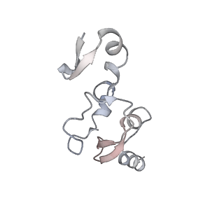 13660_7pua_Fd_v1-0
Middle assembly intermediate of the Trypanosoma brucei mitoribosomal small subunit