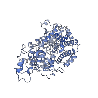 13660_7pua_Ff_v1-0
Middle assembly intermediate of the Trypanosoma brucei mitoribosomal small subunit