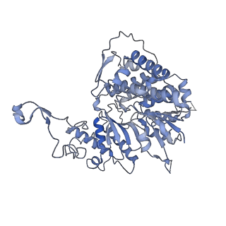13660_7pua_Fg_v1-0
Middle assembly intermediate of the Trypanosoma brucei mitoribosomal small subunit