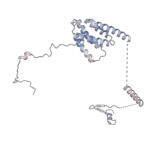 13660_7pua_Fh_v1-0
Middle assembly intermediate of the Trypanosoma brucei mitoribosomal small subunit