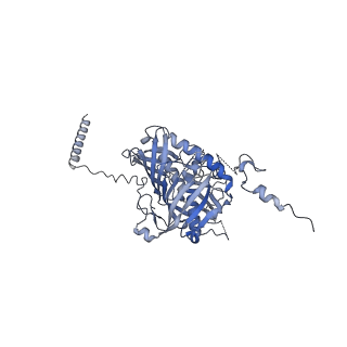 13660_7pua_Fi_v1-0
Middle assembly intermediate of the Trypanosoma brucei mitoribosomal small subunit