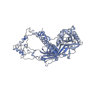 13660_7pua_IA_v1-0
Middle assembly intermediate of the Trypanosoma brucei mitoribosomal small subunit