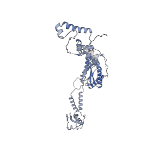 13660_7pua_IB_v1-0
Middle assembly intermediate of the Trypanosoma brucei mitoribosomal small subunit