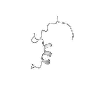 13660_7pua_UP_v1-0
Middle assembly intermediate of the Trypanosoma brucei mitoribosomal small subunit