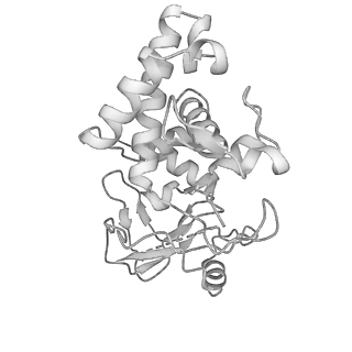13660_7pua_Ug_v1-0
Middle assembly intermediate of the Trypanosoma brucei mitoribosomal small subunit