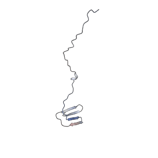 13661_7pub_CC_v1-0
Late assembly intermediate of the Trypanosoma brucei mitoribosomal small subunit