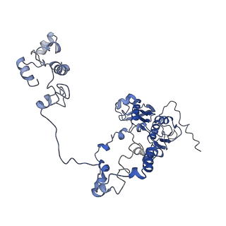 13661_7pub_CE_v1-0
Late assembly intermediate of the Trypanosoma brucei mitoribosomal small subunit