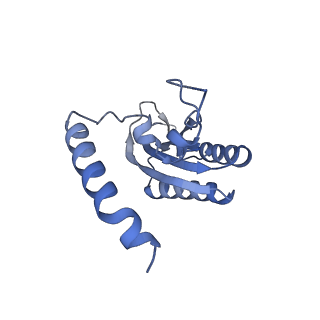 13661_7pub_CF_v1-0
Late assembly intermediate of the Trypanosoma brucei mitoribosomal small subunit