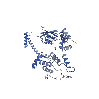 13661_7pub_CI_v1-0
Late assembly intermediate of the Trypanosoma brucei mitoribosomal small subunit