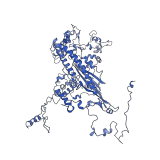 13661_7pub_CJ_v1-0
Late assembly intermediate of the Trypanosoma brucei mitoribosomal small subunit