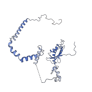 13661_7pub_CK_v1-0
Late assembly intermediate of the Trypanosoma brucei mitoribosomal small subunit