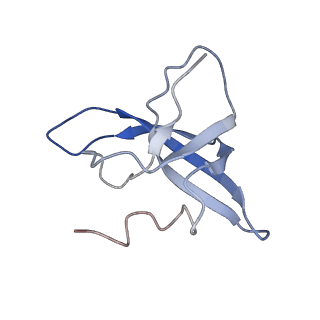 13661_7pub_CL_v1-0
Late assembly intermediate of the Trypanosoma brucei mitoribosomal small subunit