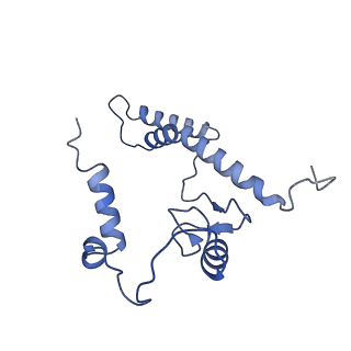 13661_7pub_CN_v1-0
Late assembly intermediate of the Trypanosoma brucei mitoribosomal small subunit