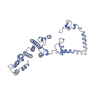 13661_7pub_CO_v1-0
Late assembly intermediate of the Trypanosoma brucei mitoribosomal small subunit