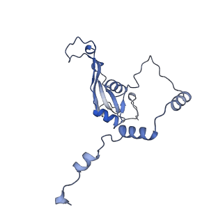 13661_7pub_CP_v1-0
Late assembly intermediate of the Trypanosoma brucei mitoribosomal small subunit