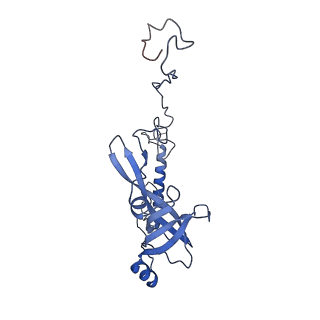 13661_7pub_CQ_v1-0
Late assembly intermediate of the Trypanosoma brucei mitoribosomal small subunit