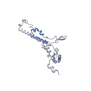 13661_7pub_CR_v1-0
Late assembly intermediate of the Trypanosoma brucei mitoribosomal small subunit
