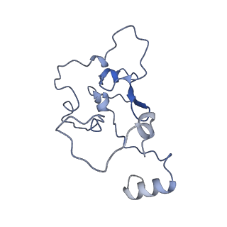 13661_7pub_CS_v1-0
Late assembly intermediate of the Trypanosoma brucei mitoribosomal small subunit